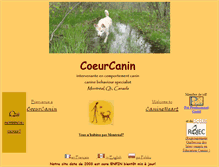 Tablet Screenshot of coeurcanin.com